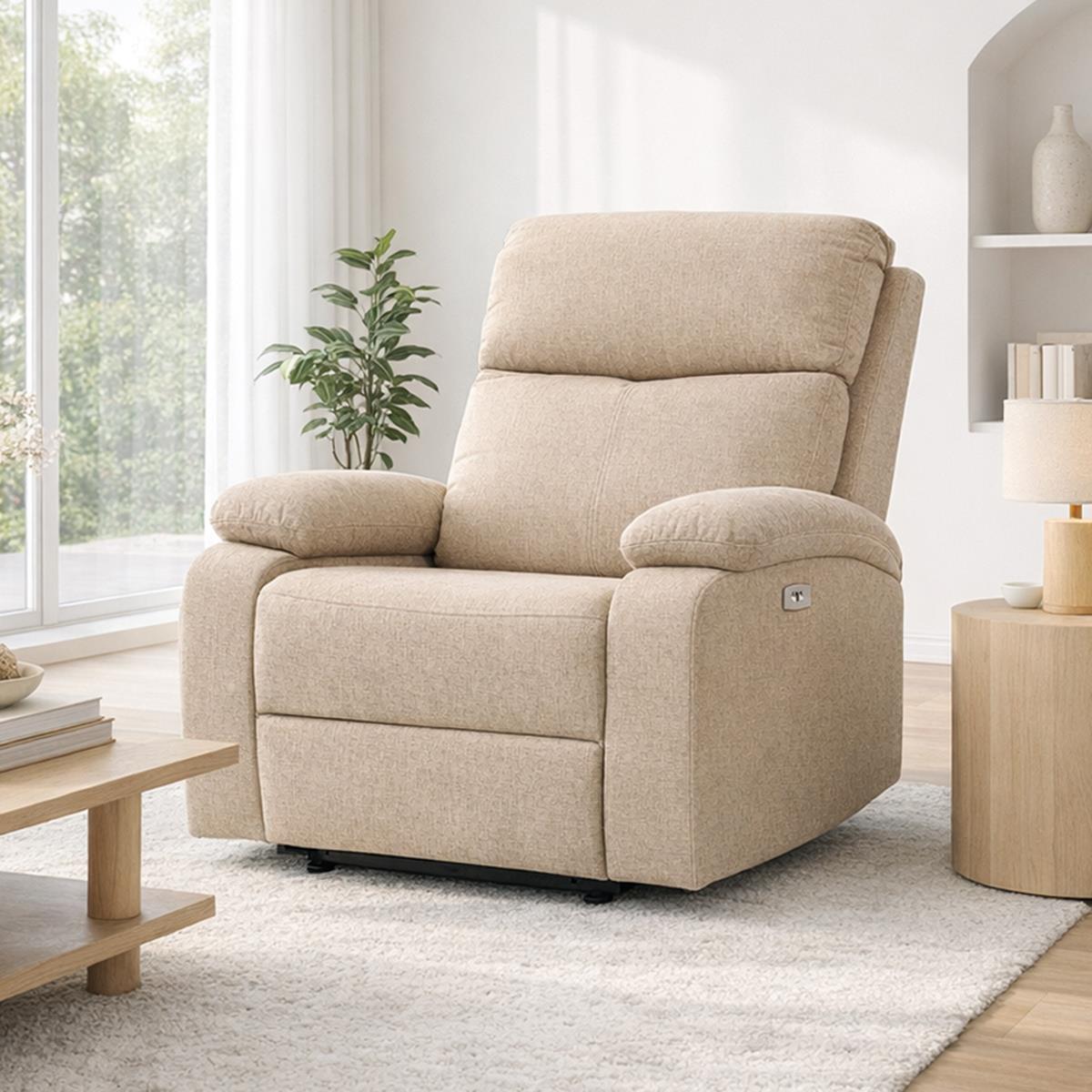 BUTACA RELAX ELECTRI BIWA MARRON