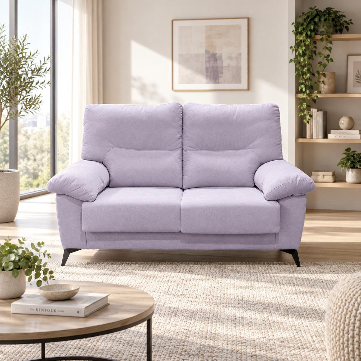 SOFA 2 PLAZAS SURAT LIONELLA 8