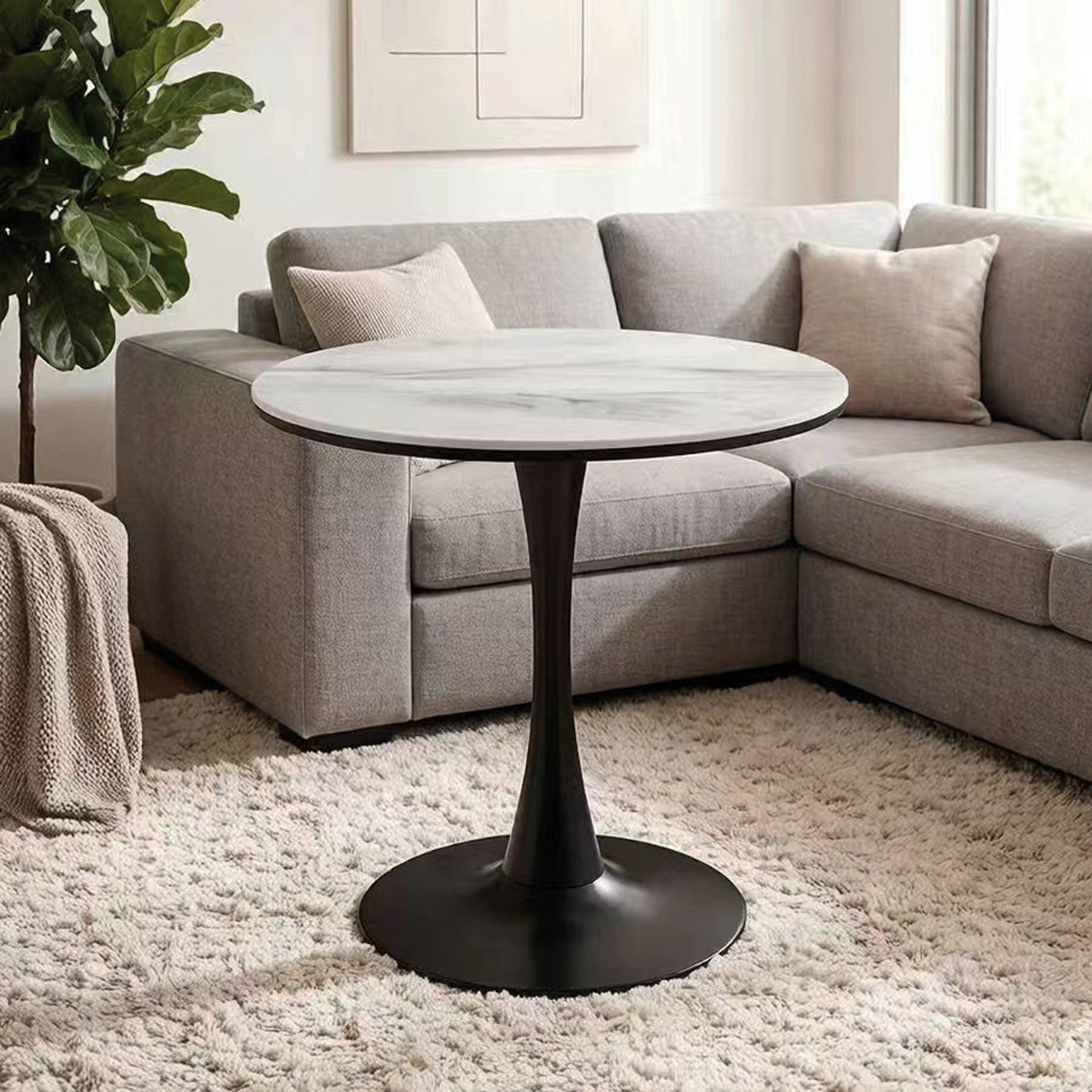 MESA CAPRI