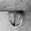 CHESLONG TRAPANI DCHA LIBRA 1 CHESLONG TRAPANI DCHA LIBRA 1
