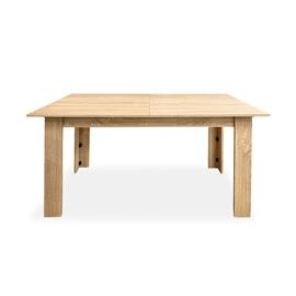 MESA EXTENSIBLE YARA