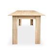 MESA EXTENSIBLE YARA