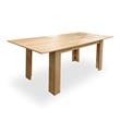 MESA EXTENSIBLE YARA